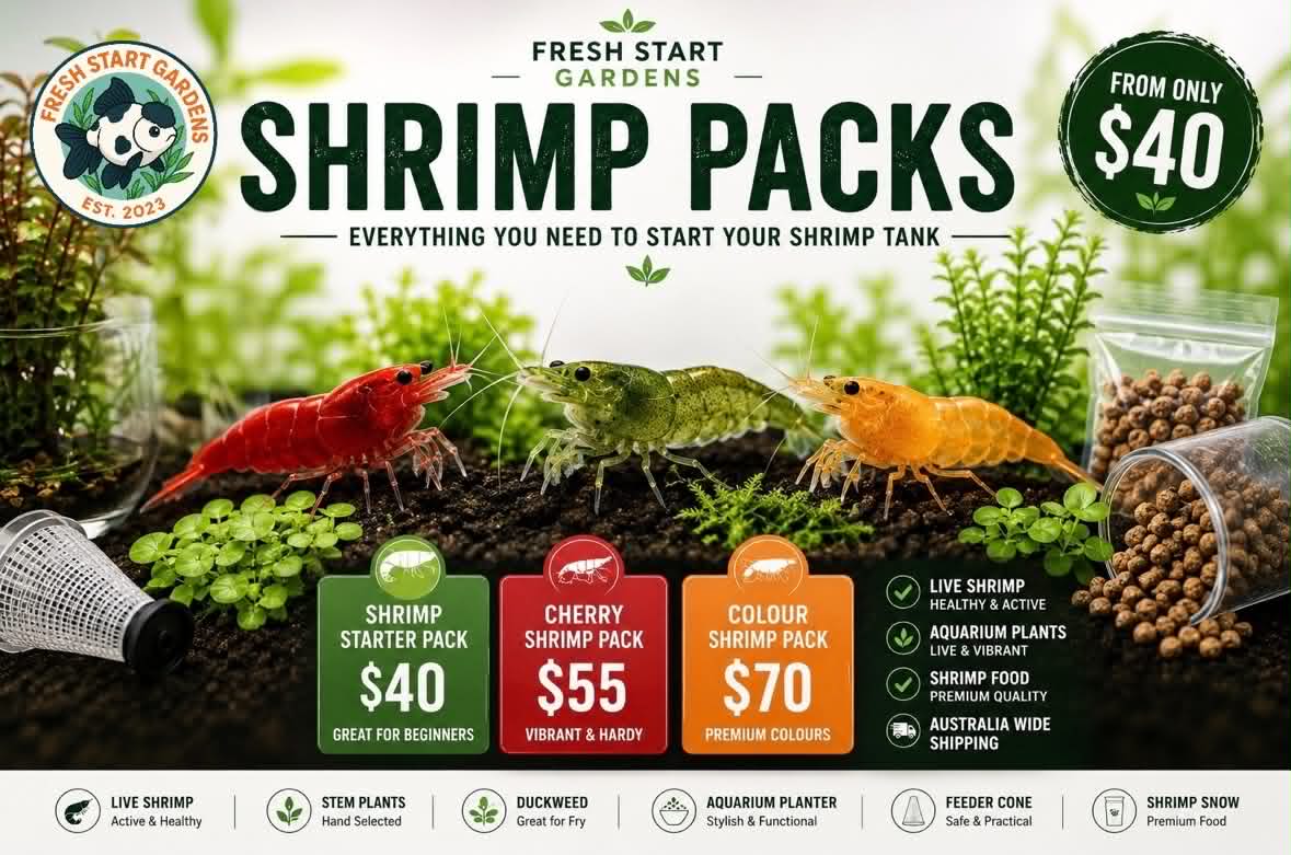 FSG Shrimp Packs