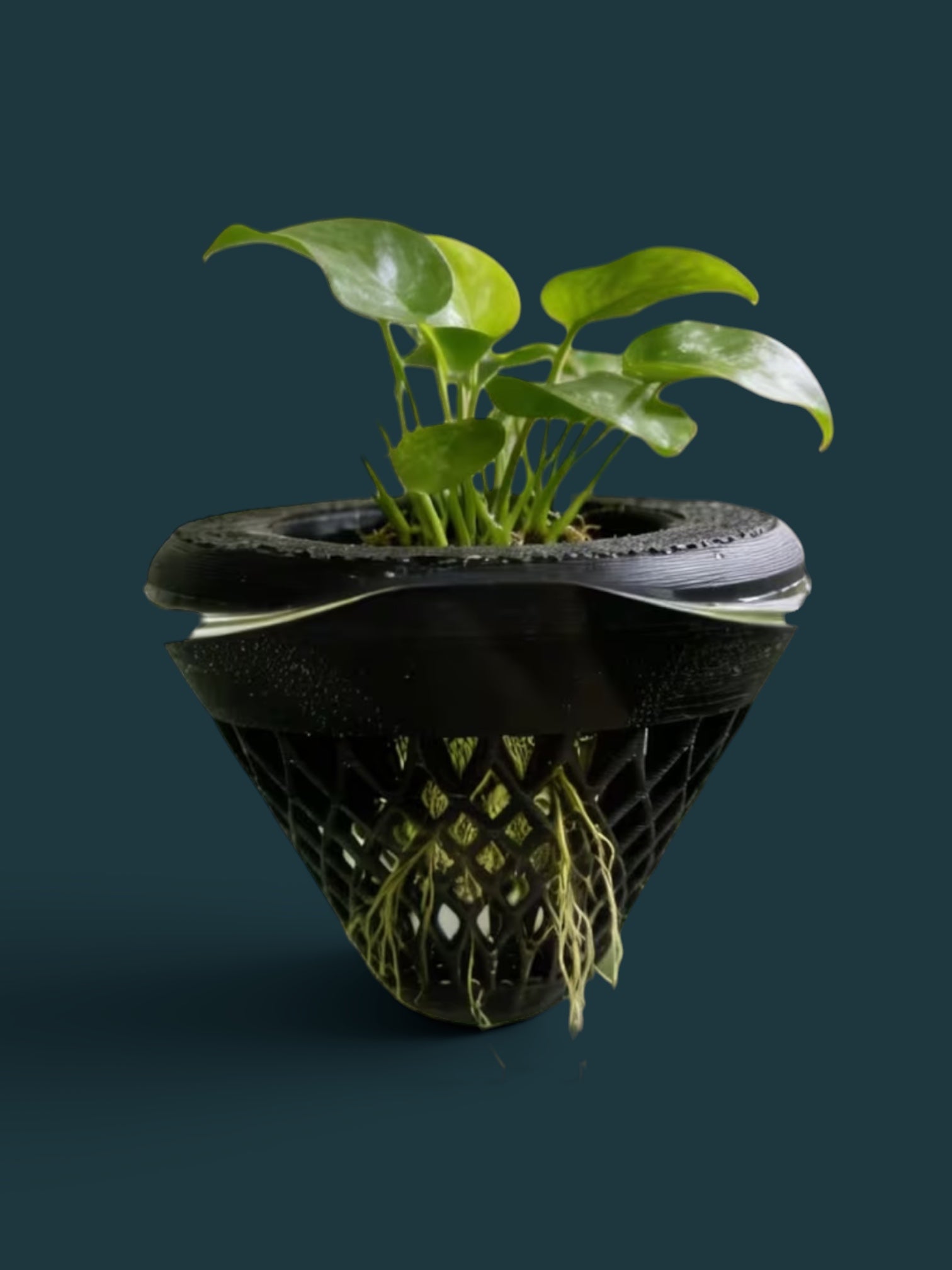 Floating Aquarium Plant Basket