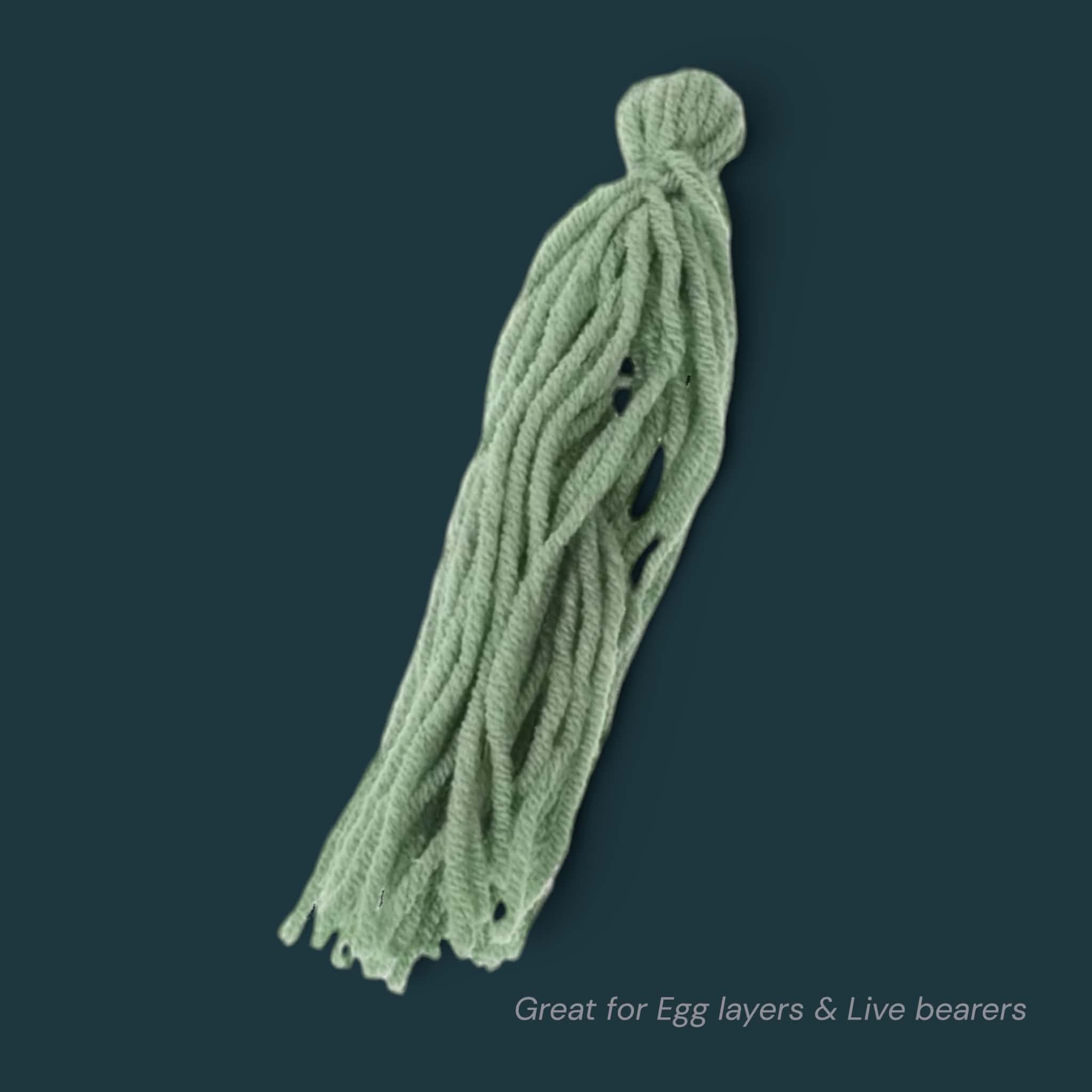 Aquarium Spawn Mops