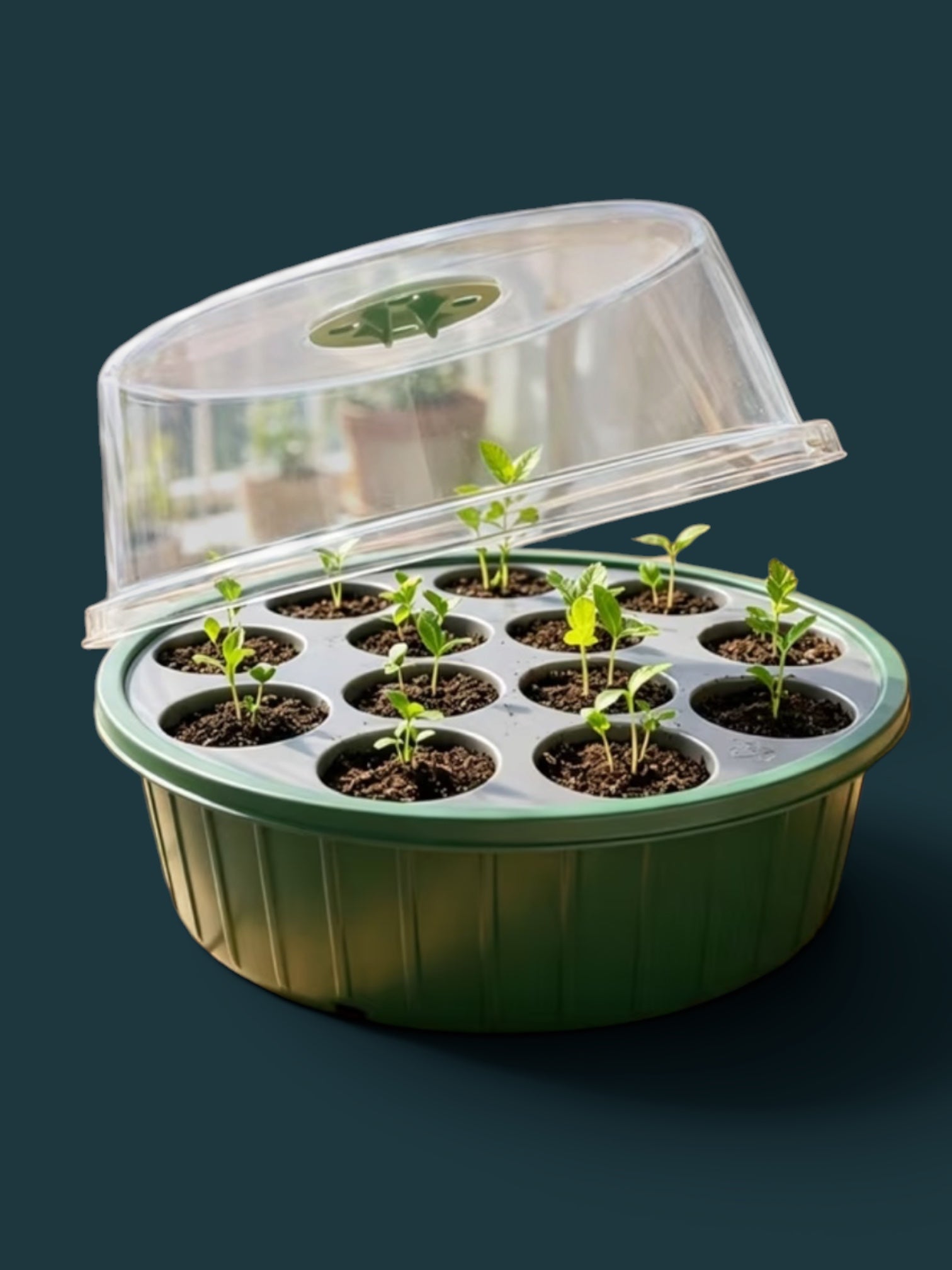Plant Propagation Tray
