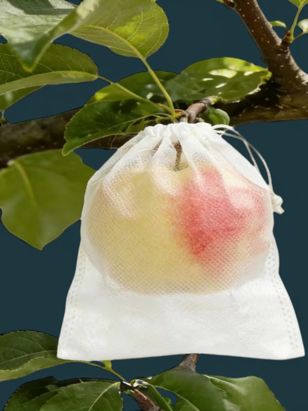 Mesh Fruit Protection Bags
