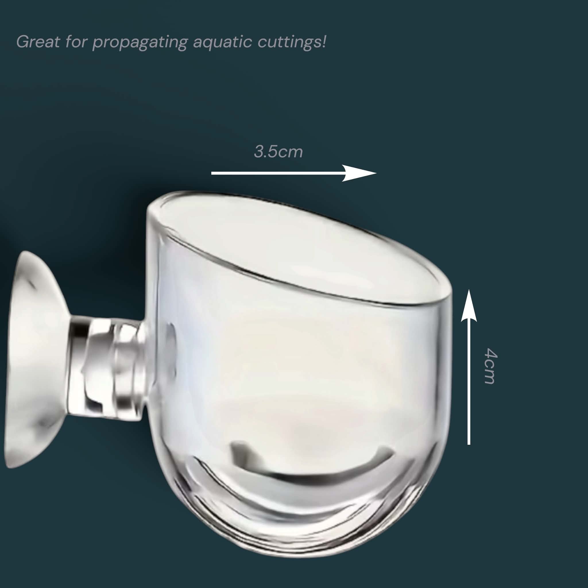 Clear Aquarium Planters with Suction Cups