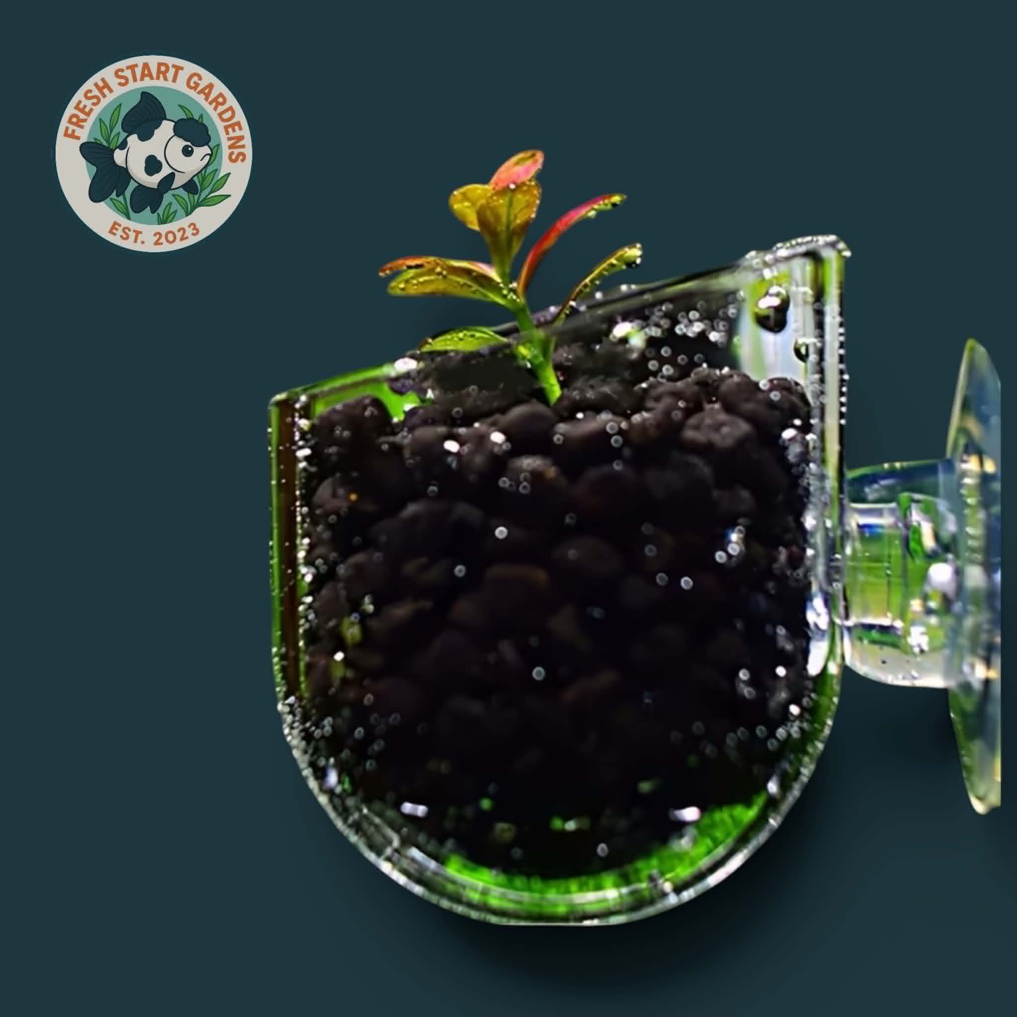 Clear Aquarium Planters with Suction Cups