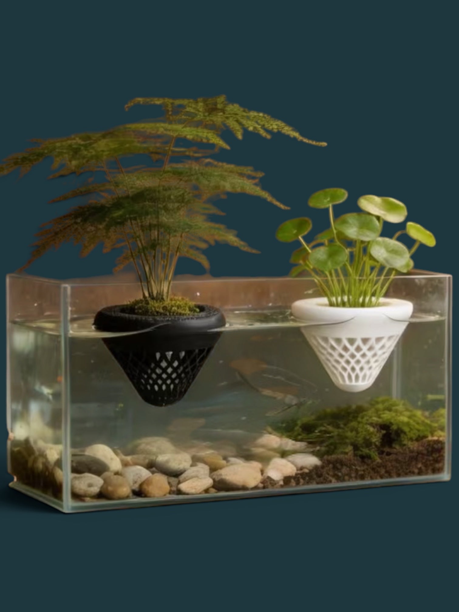 Floating Aquarium Plant Basket