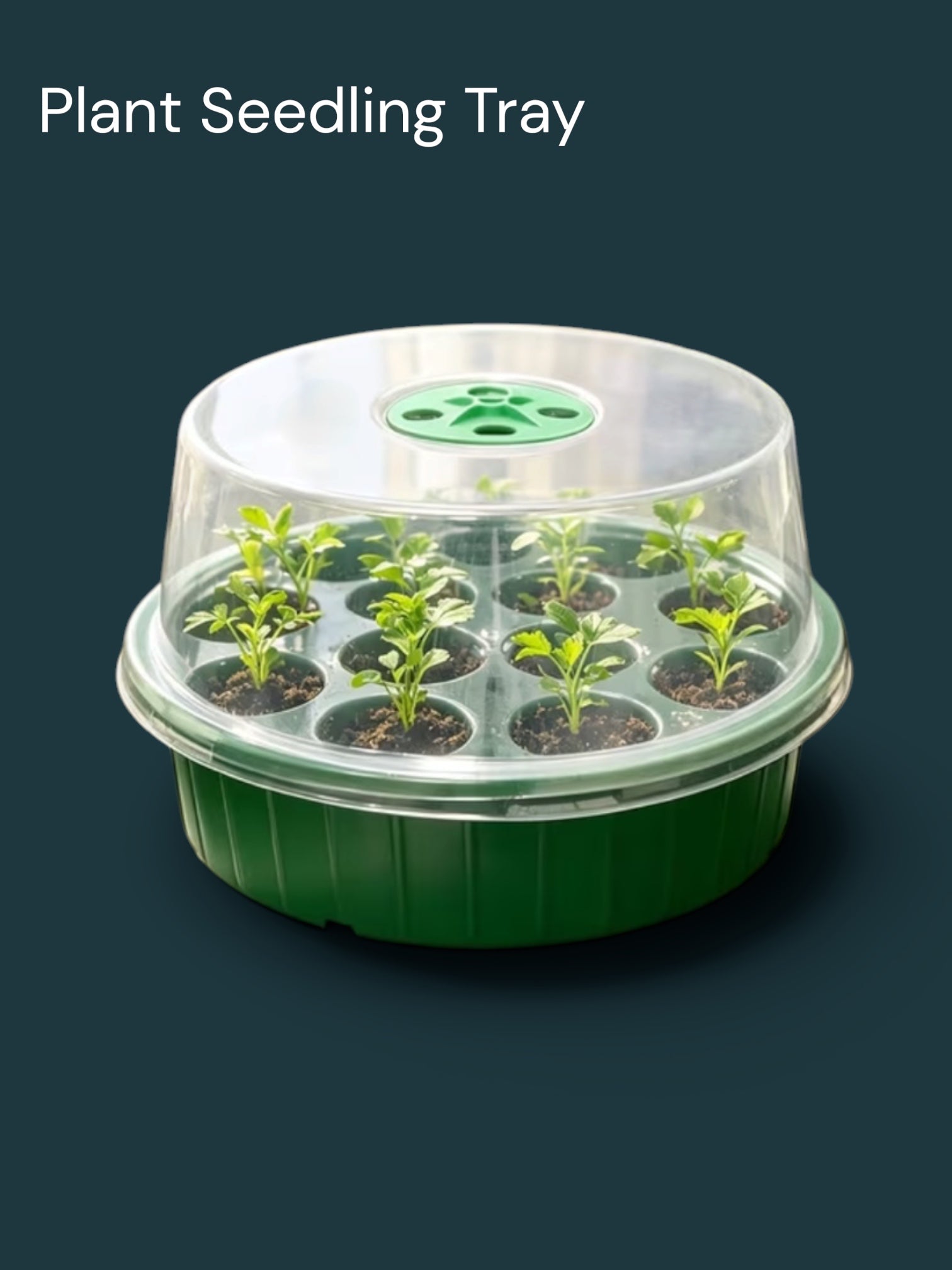 Plant Propagation Tray