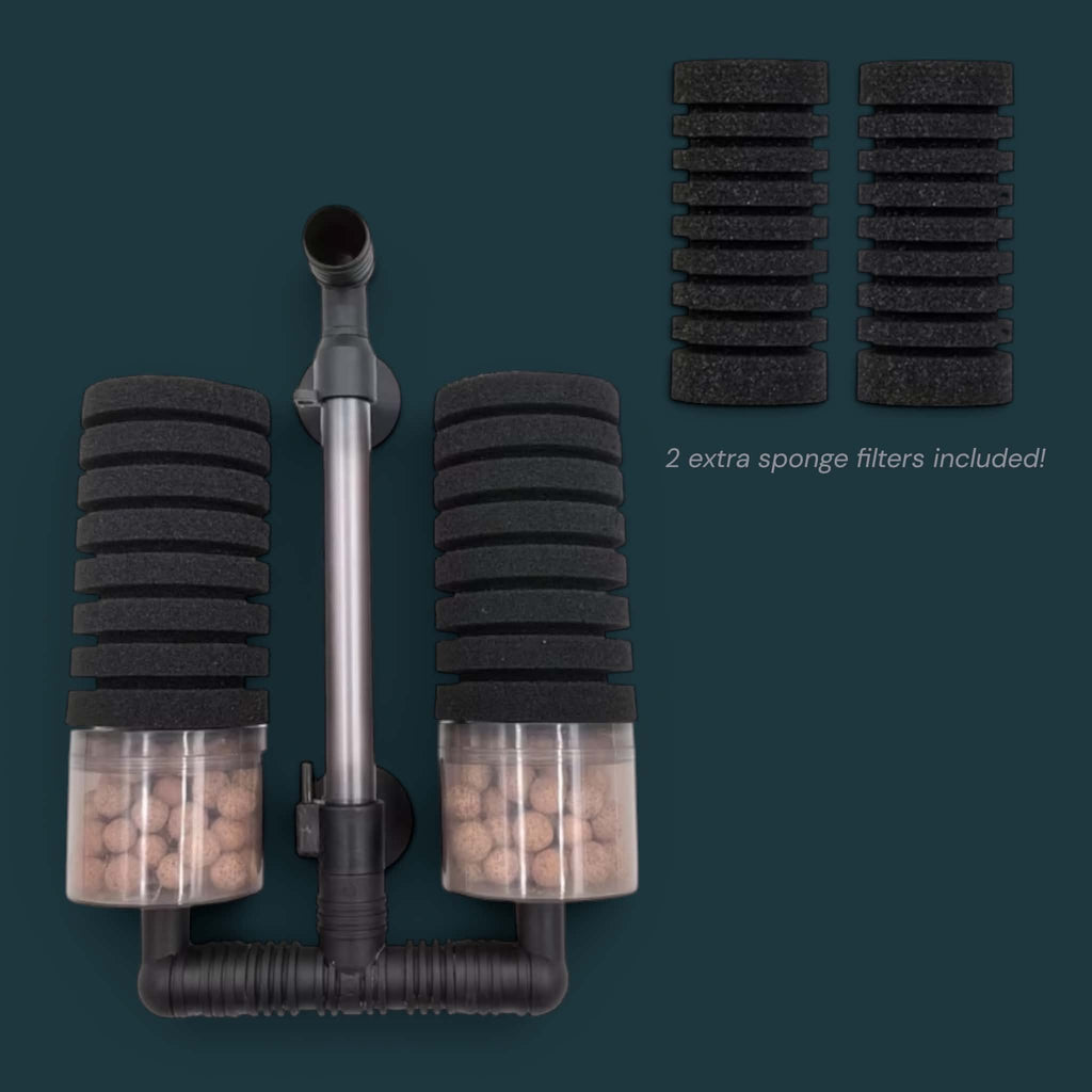 Dual Sponge Filter