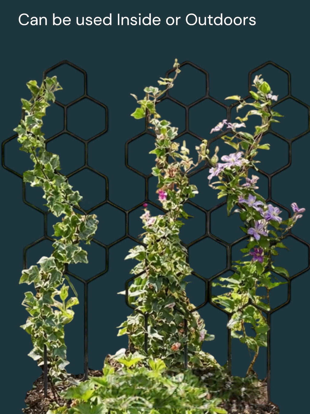 Plant Climbing Support Stake