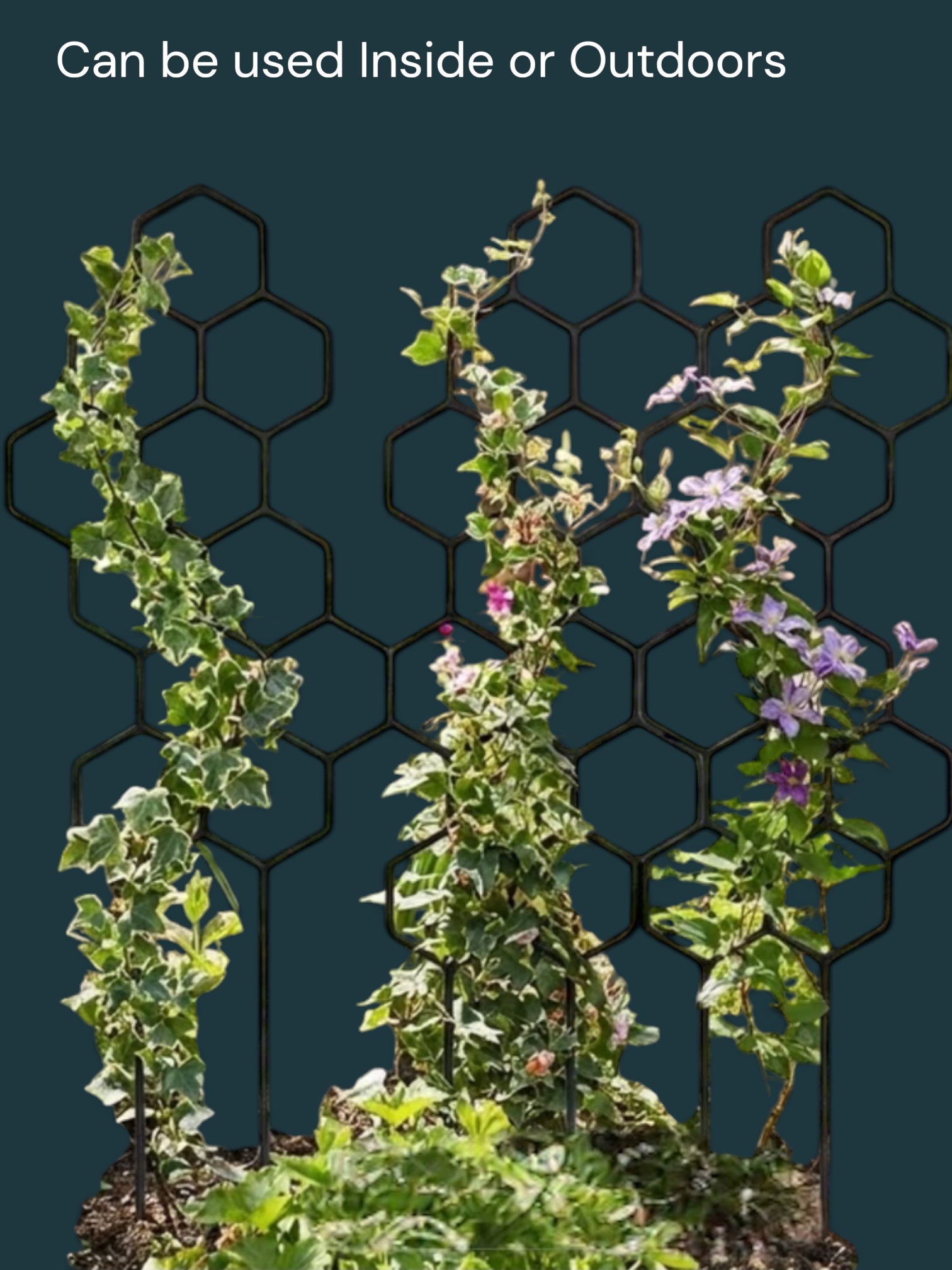 Plant Climbing Support Stake