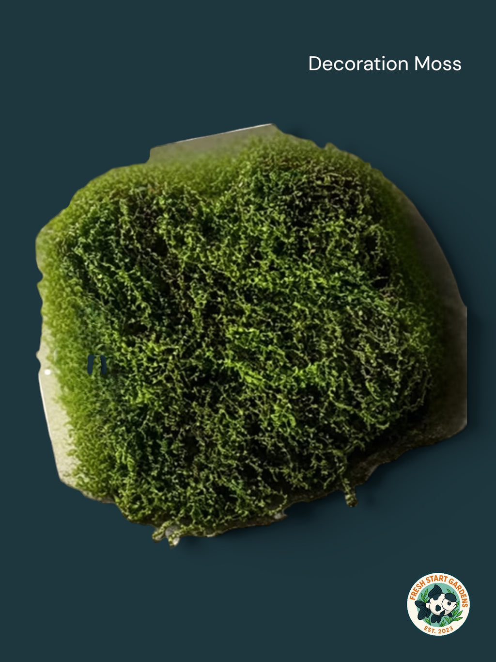 Artificial Moss [Decorative Moss]