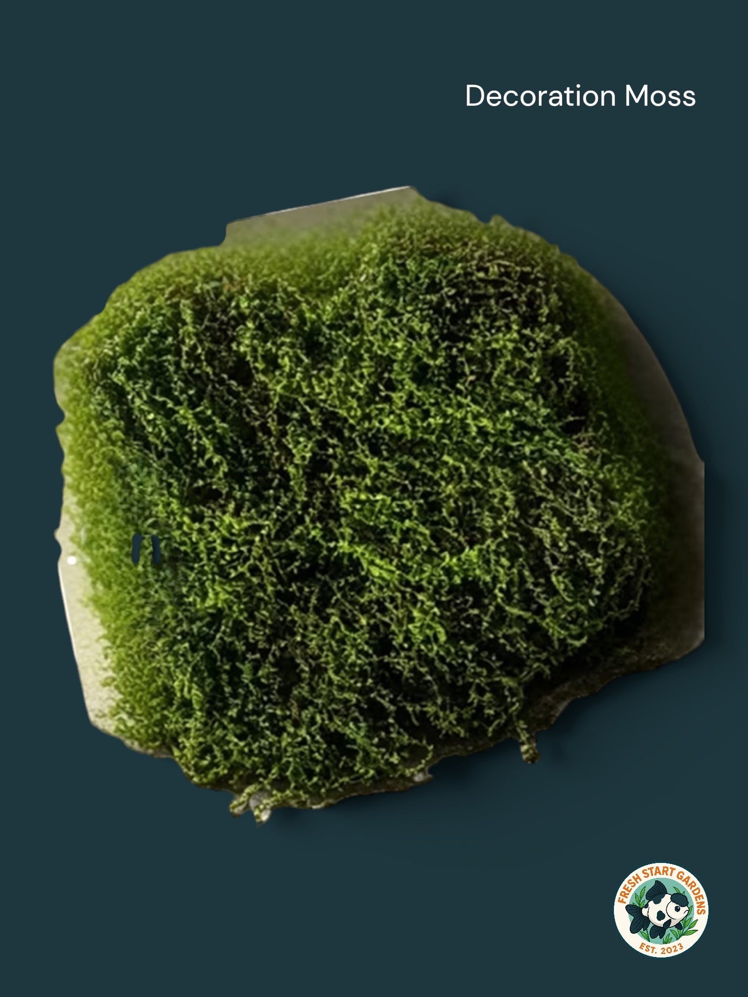 Artificial Moss [Decorative Moss]