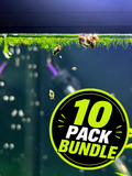 Pond Snail - 10 Pack Bundle