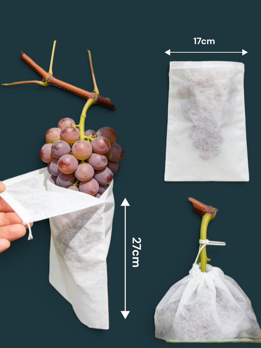 Mesh Fruit Protection Bags