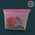 Clownfish Plushie + Fish Tank - Handmade-