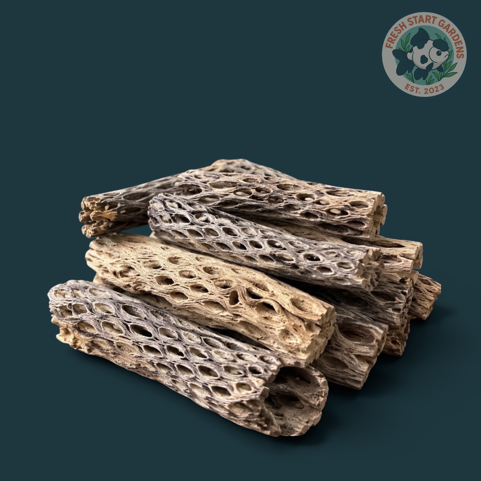 Cholla Wood