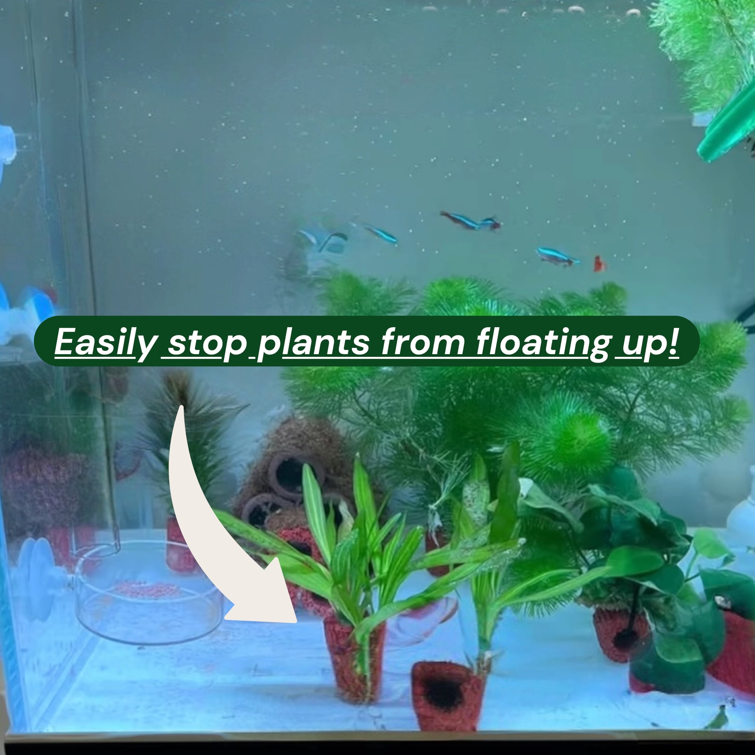 Aquatic Plant Weights