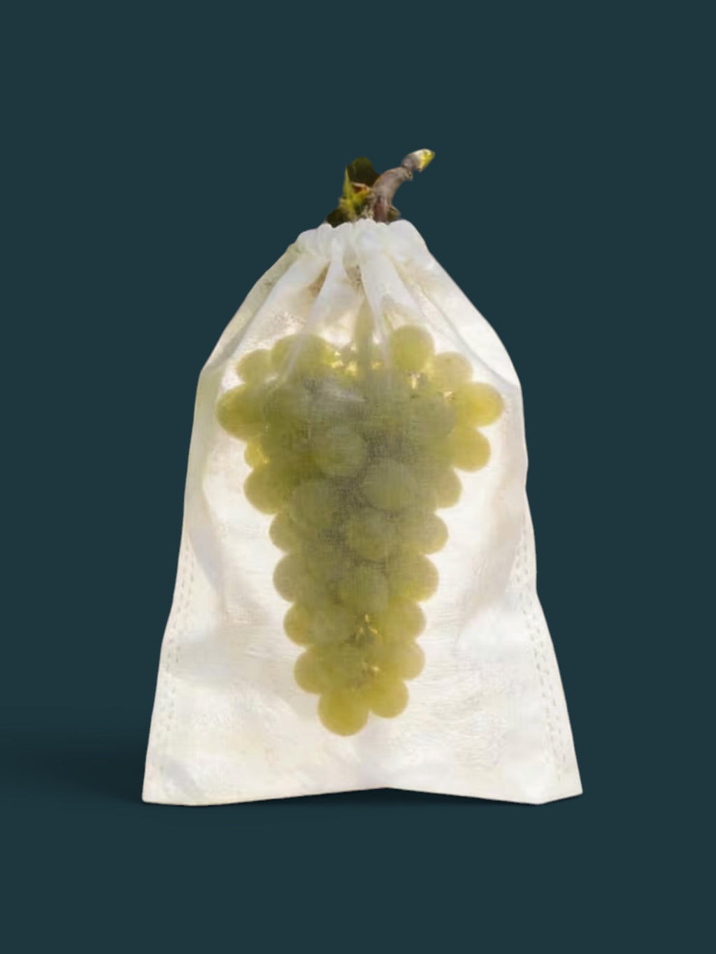 Mesh Fruit Protection Bags