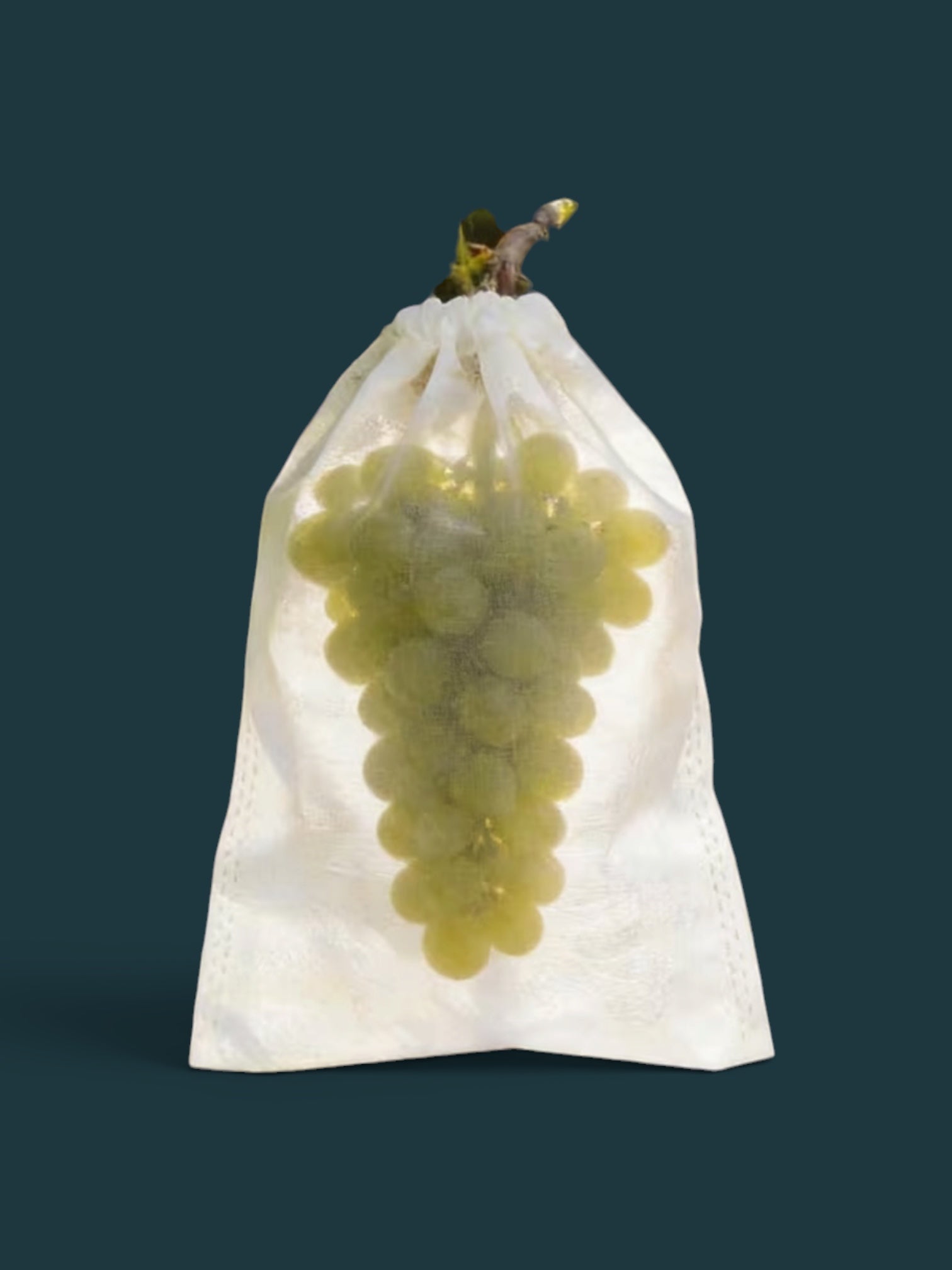 Mesh Fruit Protection Bags