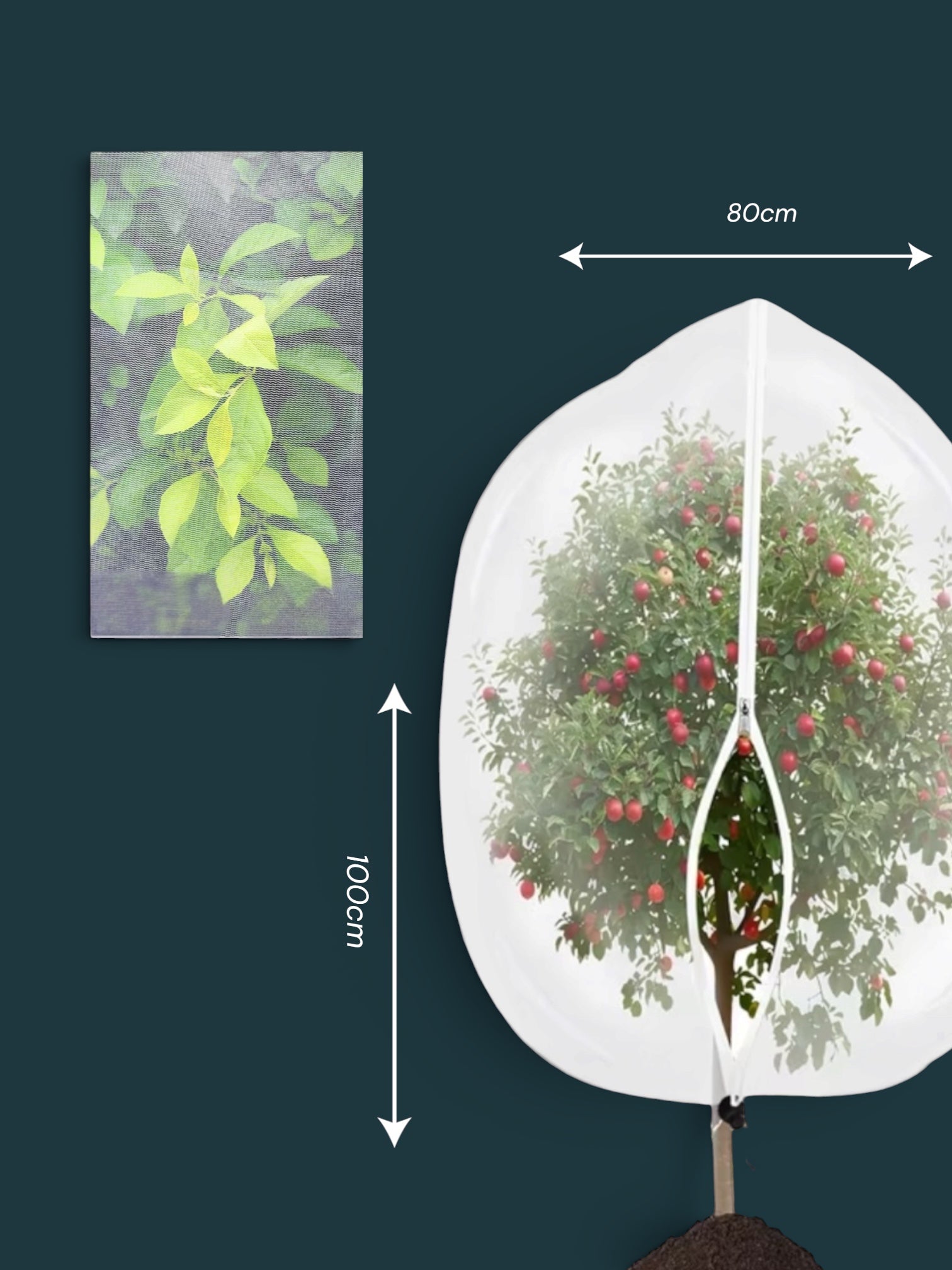 Fruit Tree Protecting Net