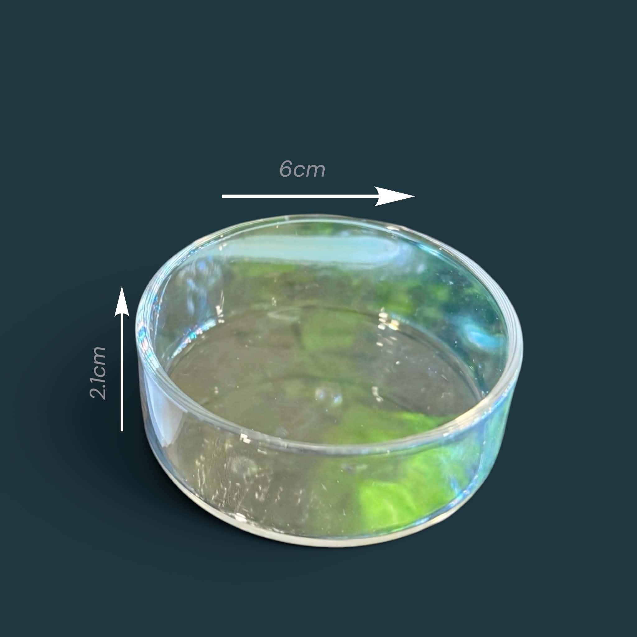 Glass Feeding Dish