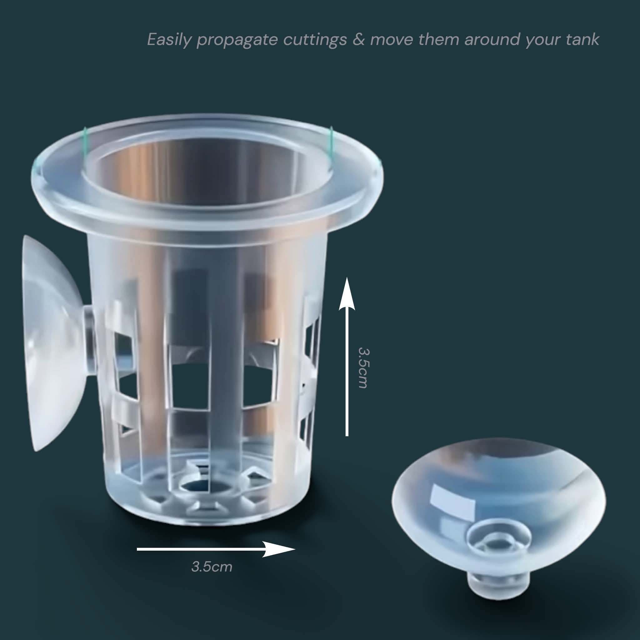 Plant Propagation Cup with Suction Cup
