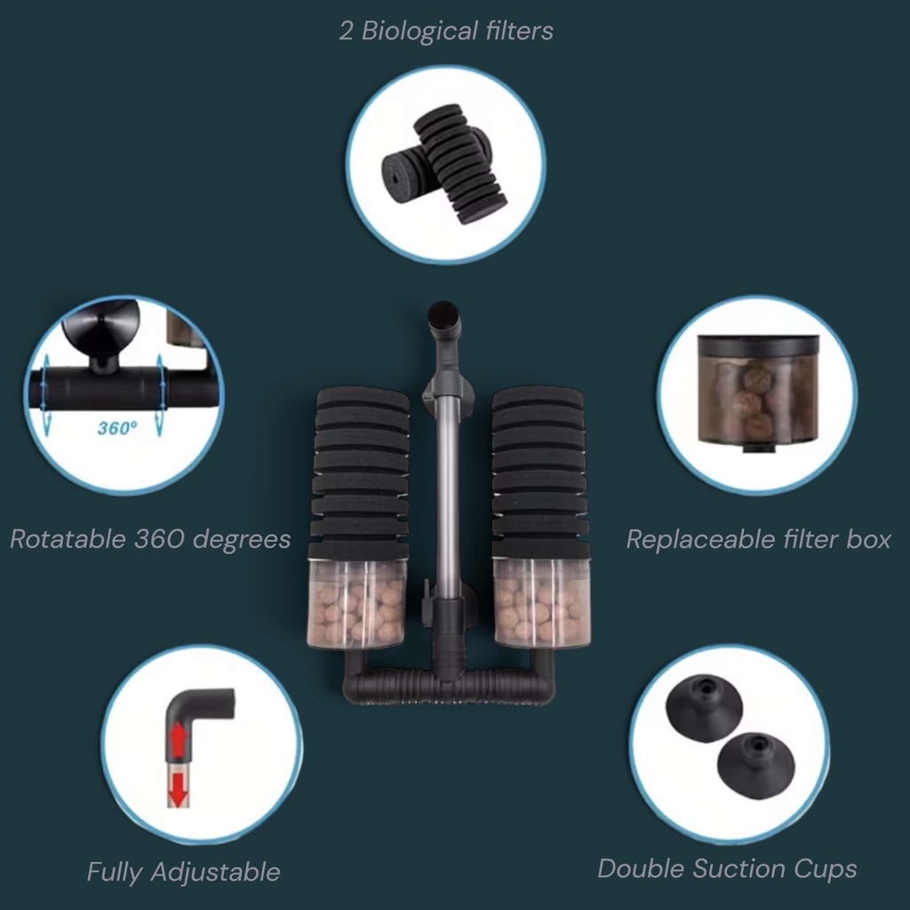Dual Sponge Filter
