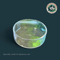 Glass Feeding Dish