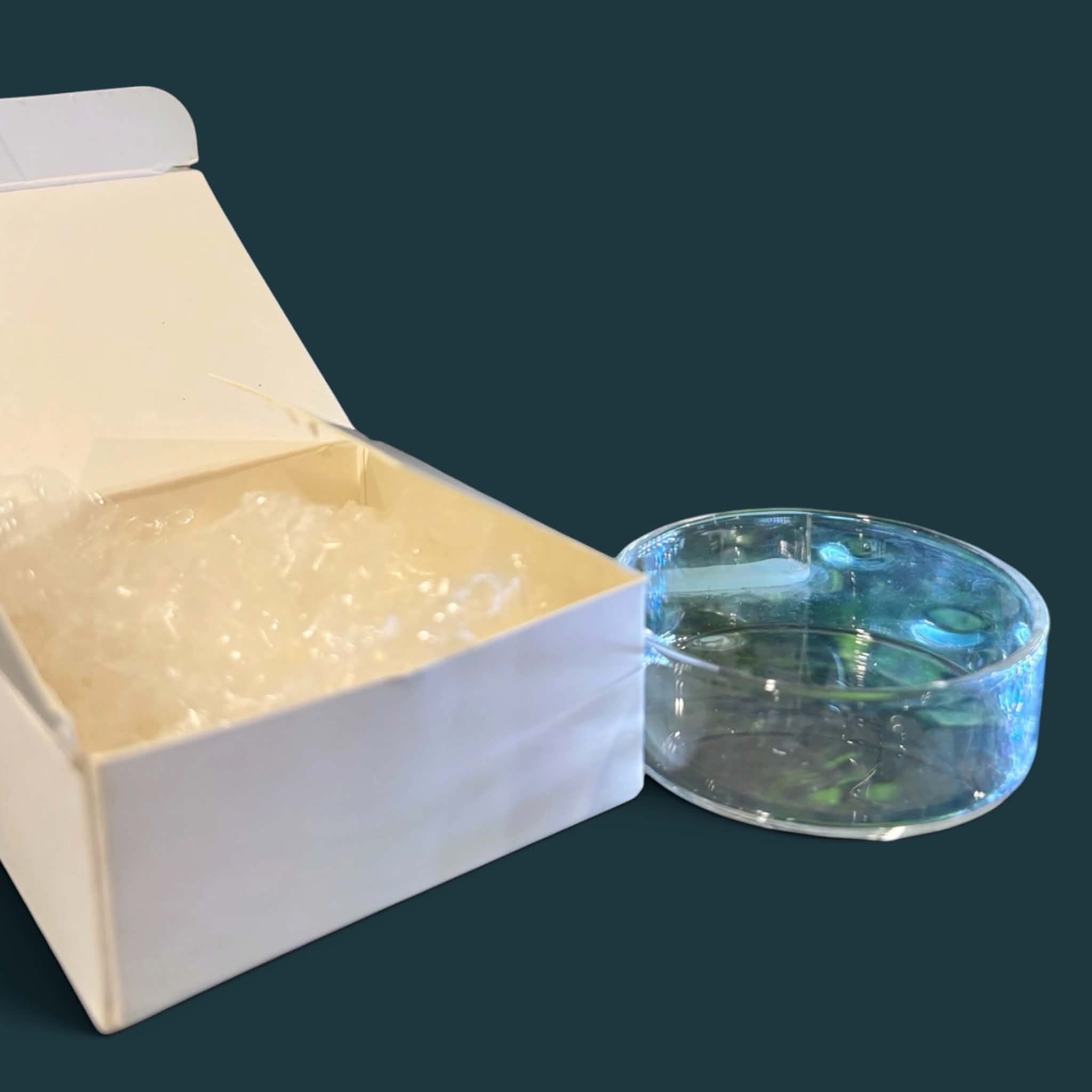Glass Feeding Dish